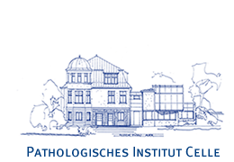 Pathologisches Institut Celle
